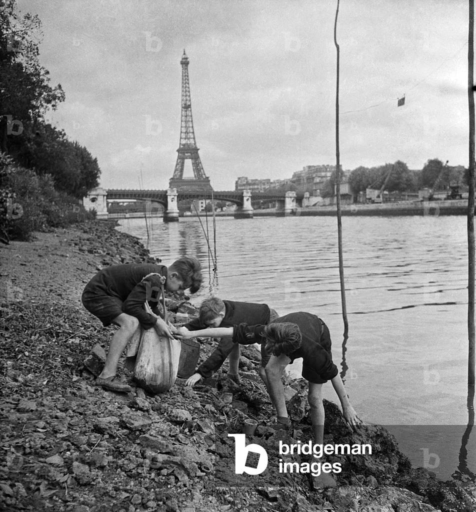 Children Looking For Crayfish in The Seine River, Paris, October 1946 (b/w photo)