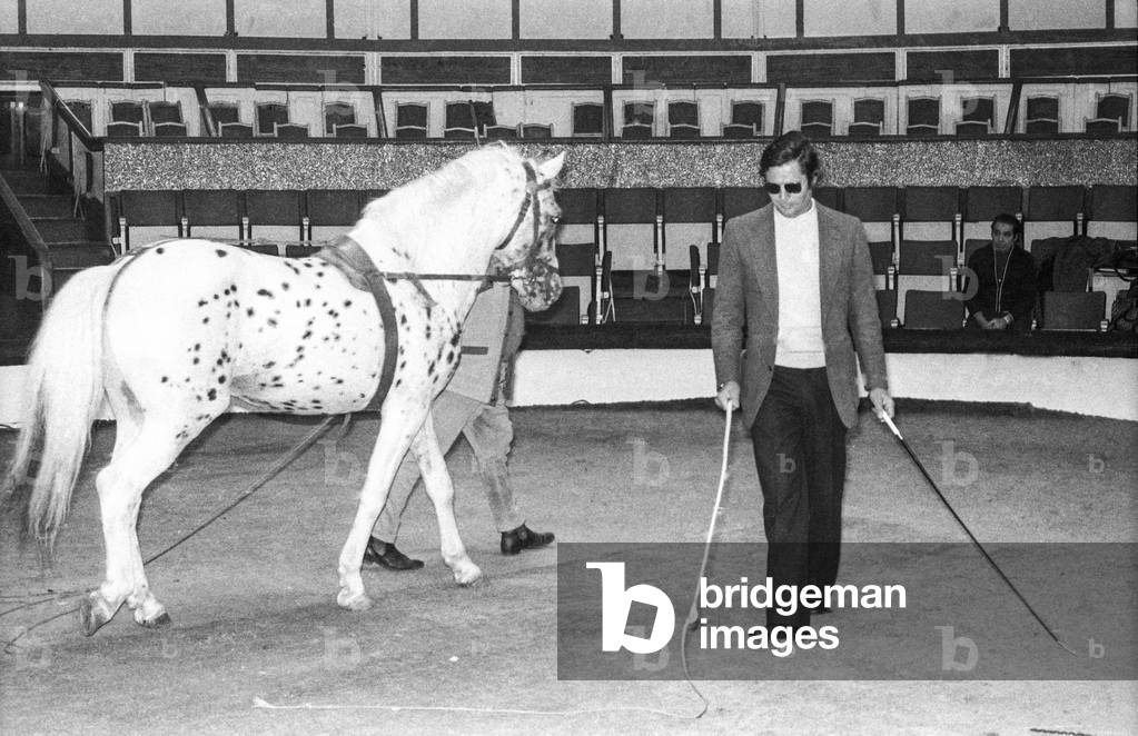 Rehearsal of the Gala of Union of Artists, Cirque d'Hiver, Paris, April 25, 1972 : Marcello Mastroianni and a horse (b/w photo)