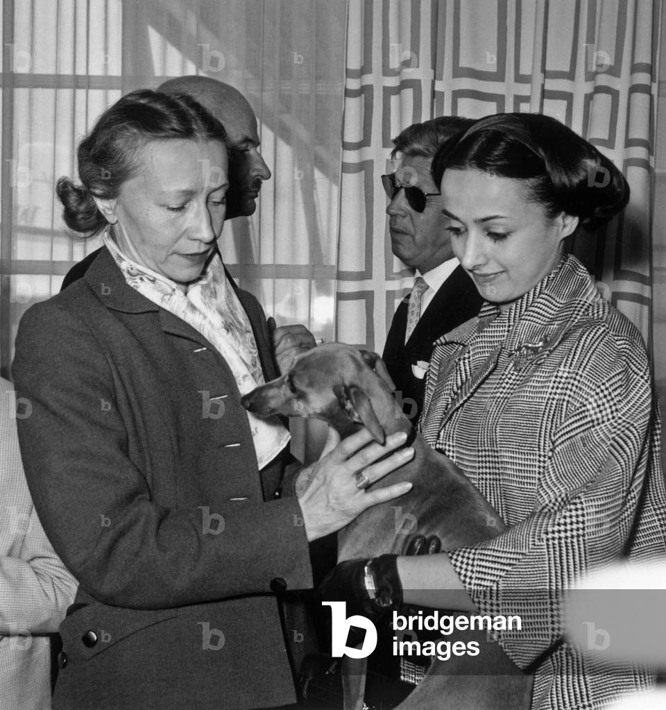 In A Salon Of The Airport From Bourget Lyane Dayde, Dancer Star Of The Opera (D), Presented “Artu” Her Italian Doggystyle To The Russian Dancer Galina Oulanova May 25, 1958 Neg: C84857 (b/w photo)