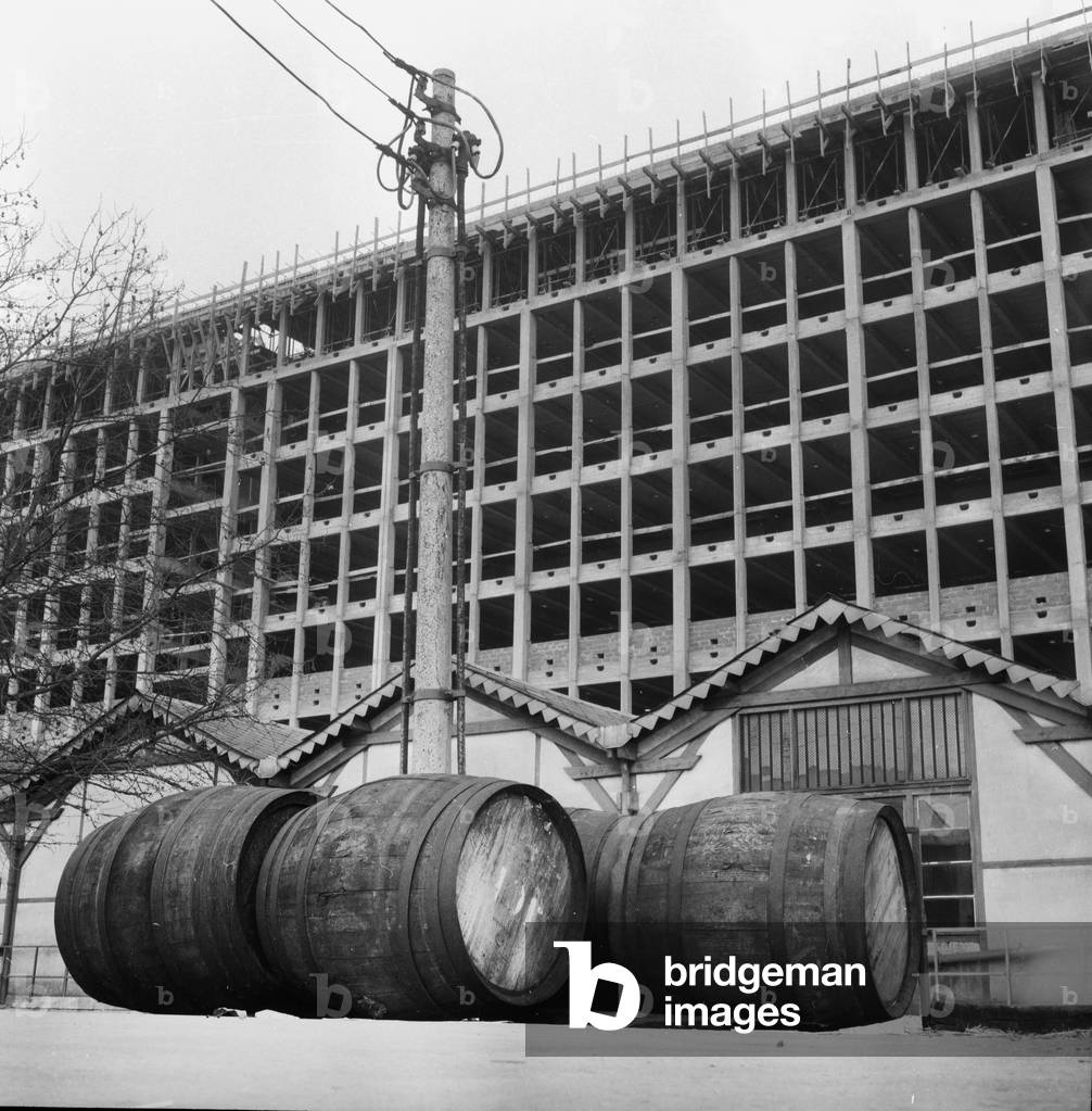 Building of The New Sciences Faculty (Jussieu) in Paris on January 20, 1960 (b/w photo)