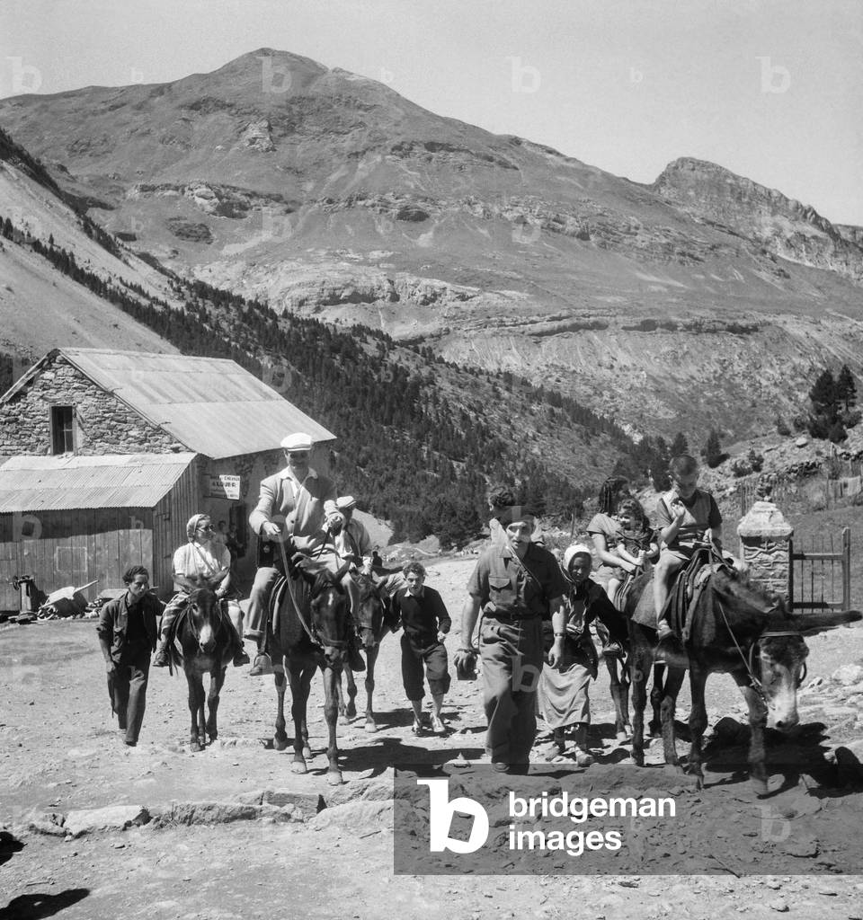 Pyrenees  (b/w photo)