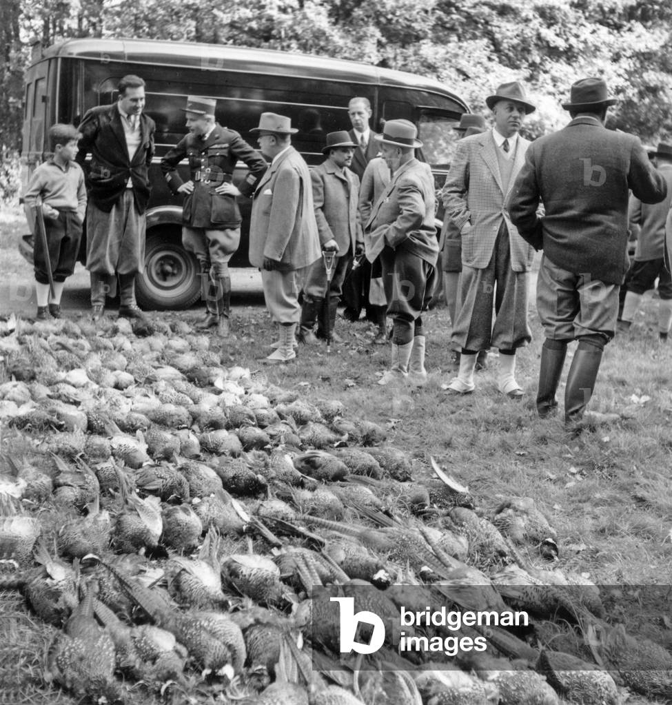 Presidential Hunting : Total Number of Kills, October 28, 1951 (b/w photo)