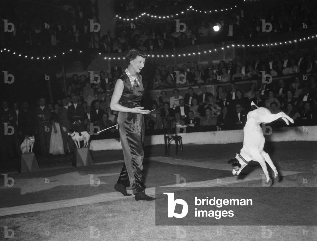 Gala of Artists at the Cirque d'Hiver in Paris, March 25, 1950 : Jacqueline Porel with dogs (b/w photo)