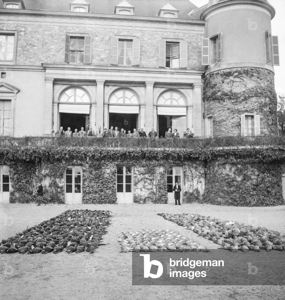 residential hunting in Rambouillet, France, October 26, 1950 : uncountables (b/w photo)