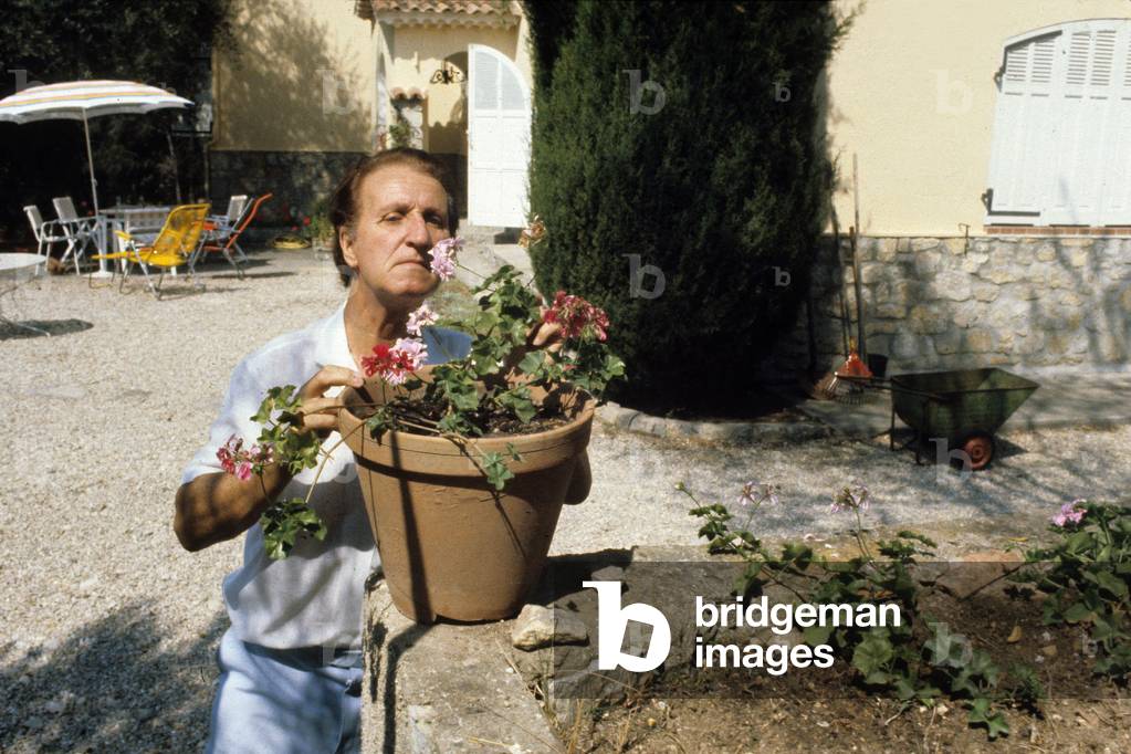 Mac Ronay (French actor) playing boules (photo)