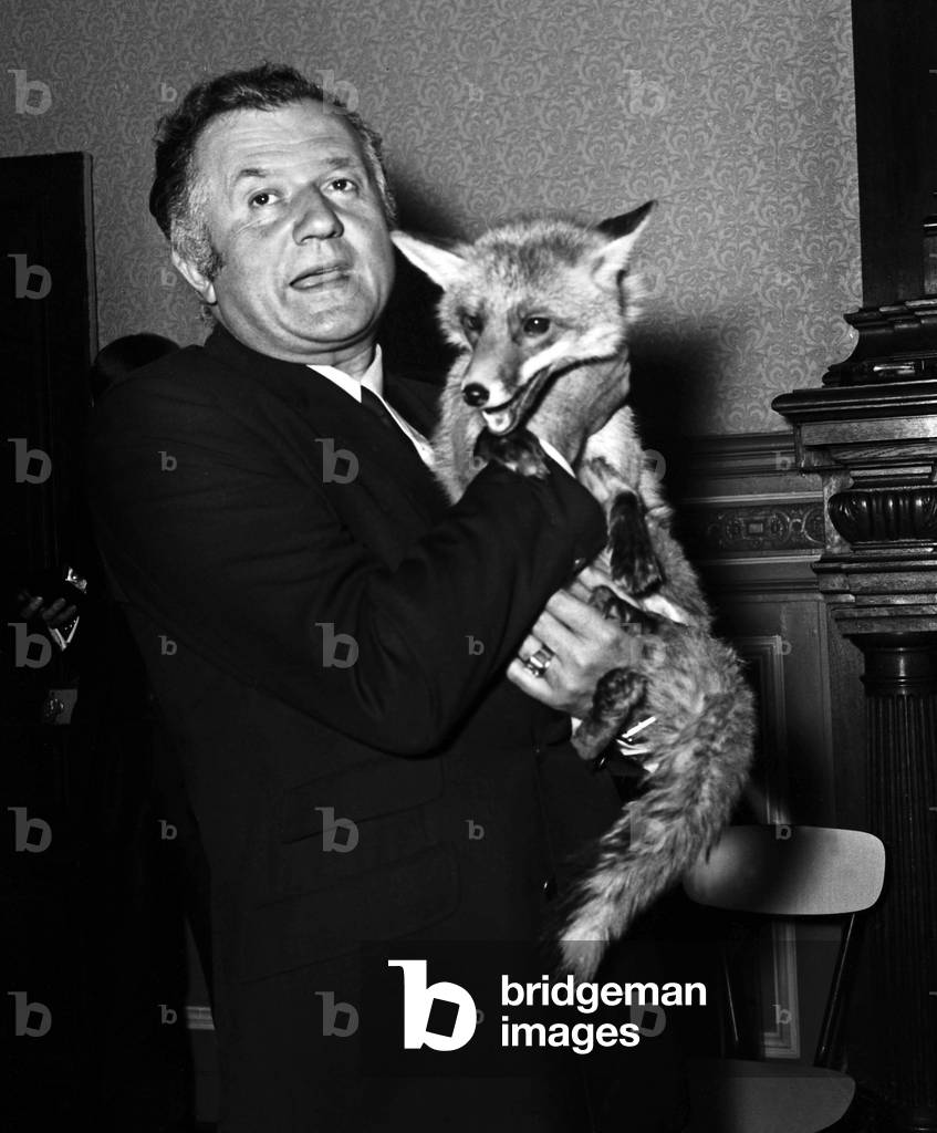 Actor Jean Richard with a fox at The Club of Friends of Animals, 12 May 1967 (photo)
