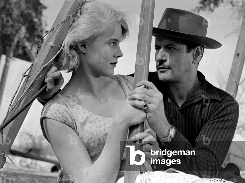 Baby Doll; 1956 (film still)