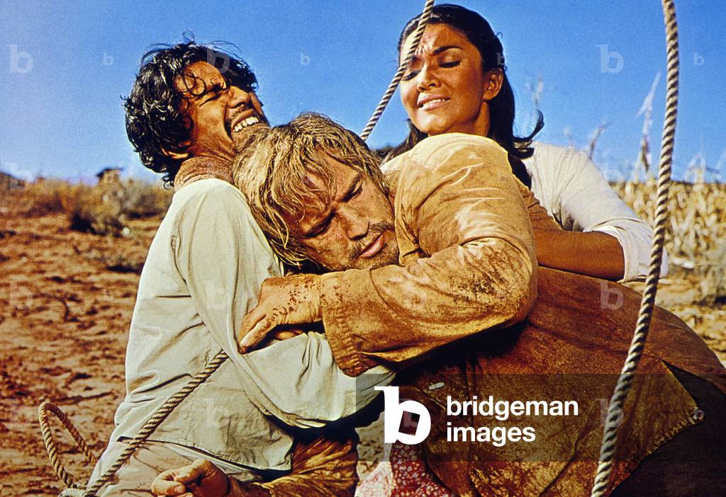 The Appaloosa, 1966 (film still)