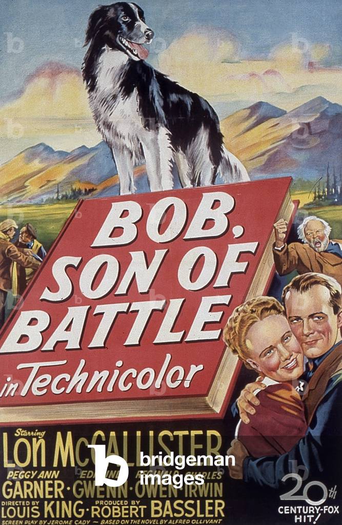 Affiche du film Bob Son of Battle Thunder in the Valley de LouisKing 1947