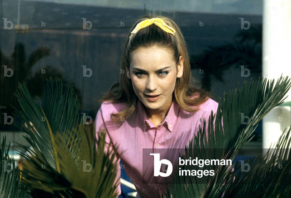 Genevieve Grad, French Actress, in 1968 (photo)