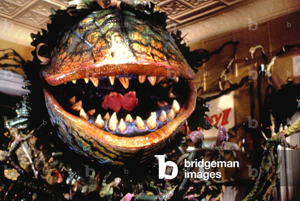 LITTLE SHOP OF HORRORS, 1986 (film still)
