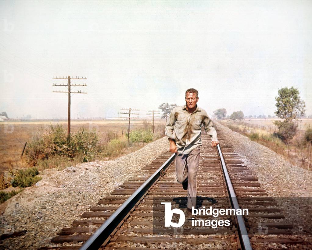 COOL HAND LUKE, Paul Newman, 1967 (film still)