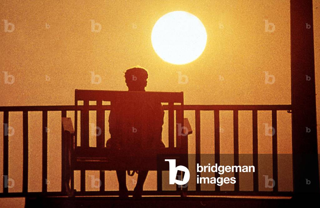 The color purple, 1985 (film still)