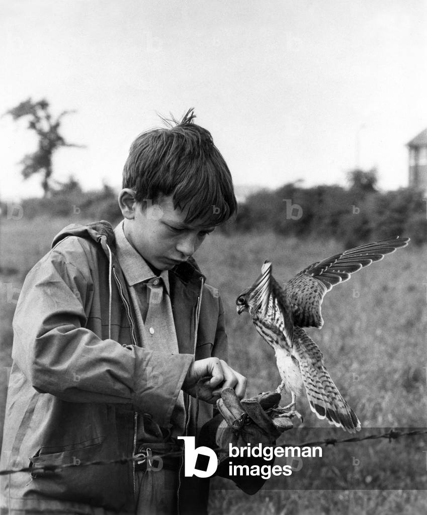 KES, 1969 (film still)
