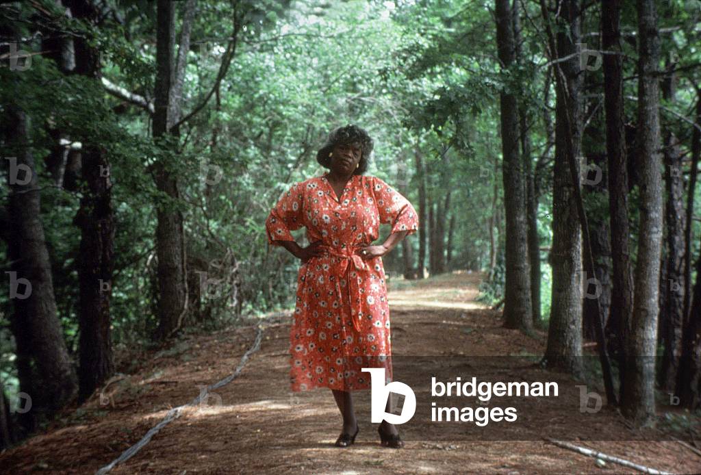 The color purple, 1985 (film still)