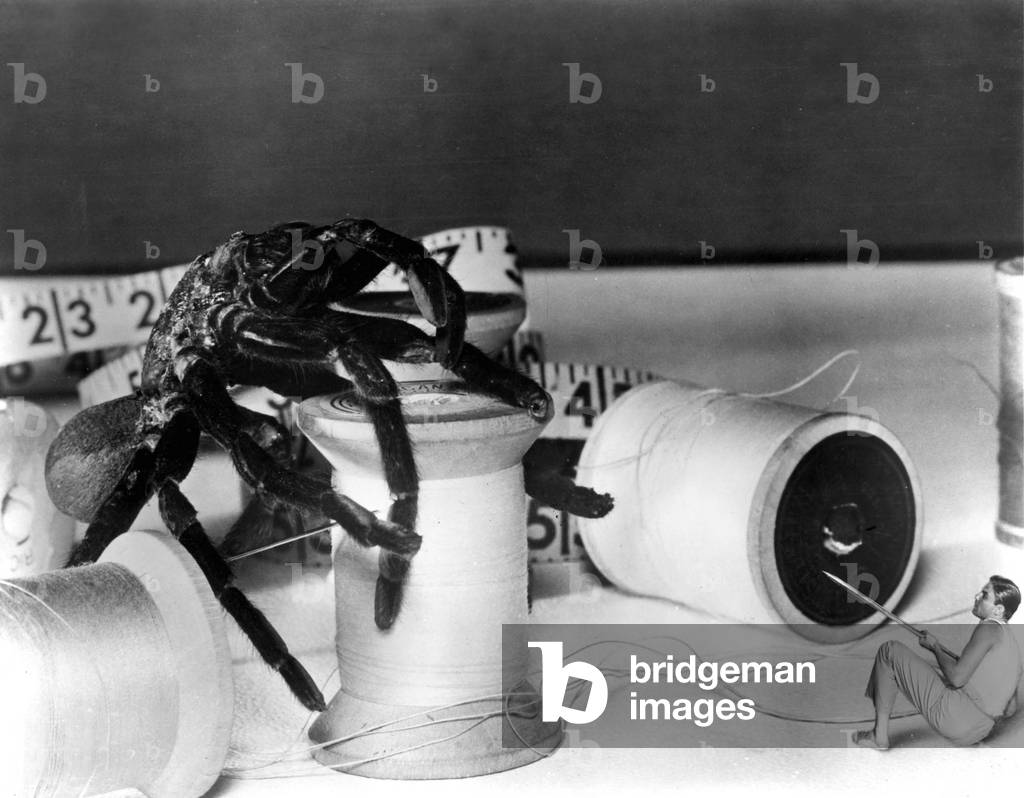 The Incredible Shrinking Man, 1957 (film still)