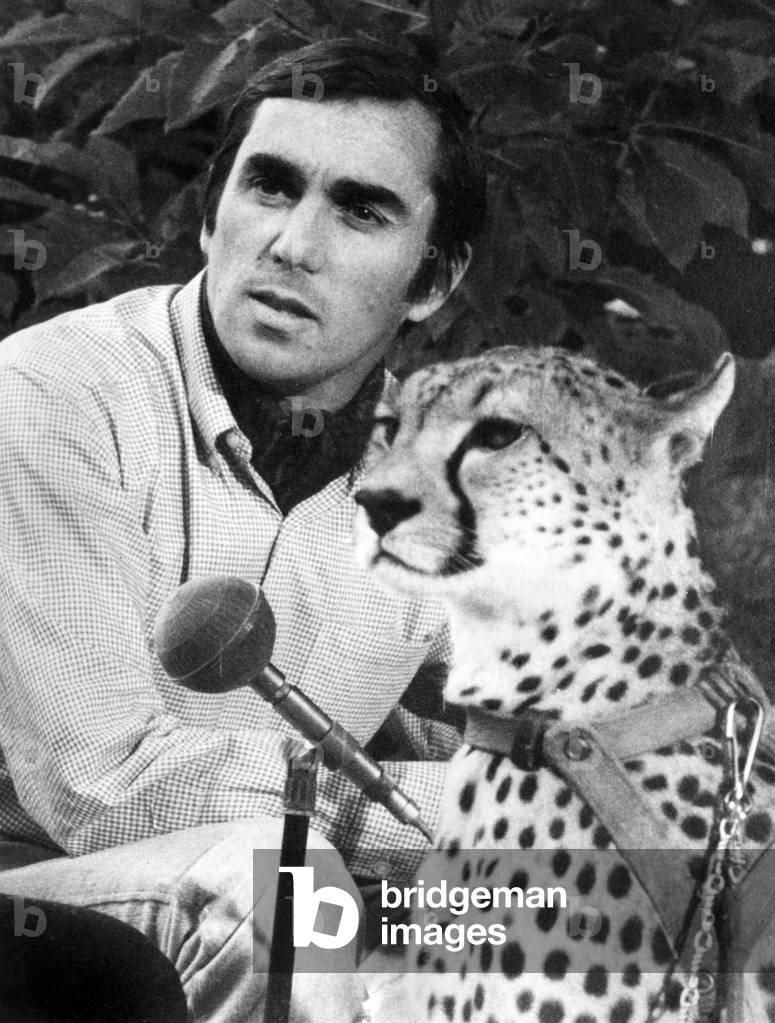 Christian Zuber  with a cheetah, 1972 (photo)