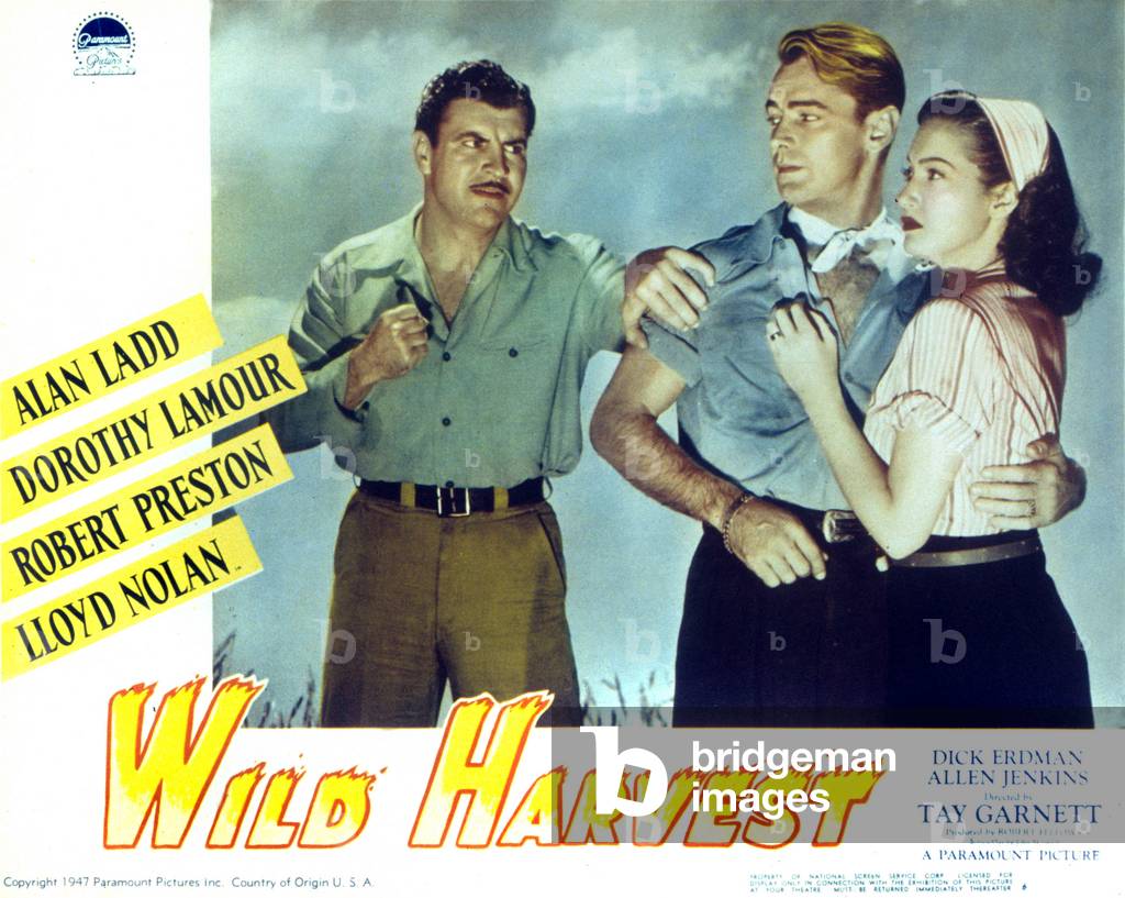 Wild Harvest, 1947 (print)