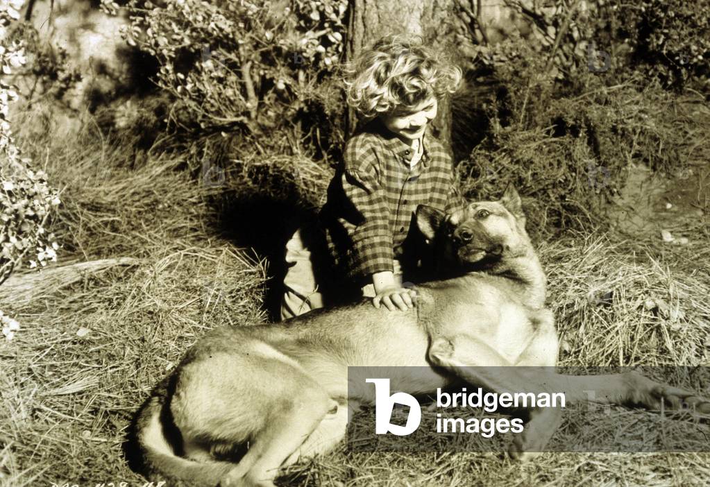 The enchanted forest, William Severn 1945 (film still)