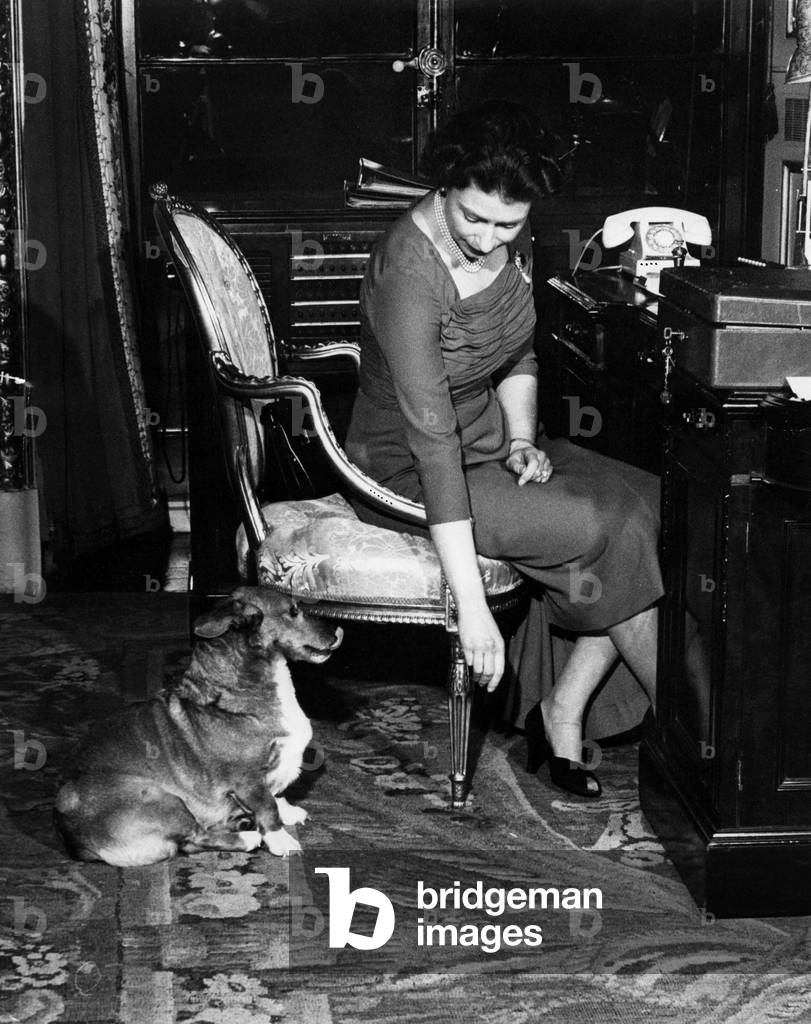 Queen Elizabeth II of England with her dog Susan, c.1952 (b/w photo)