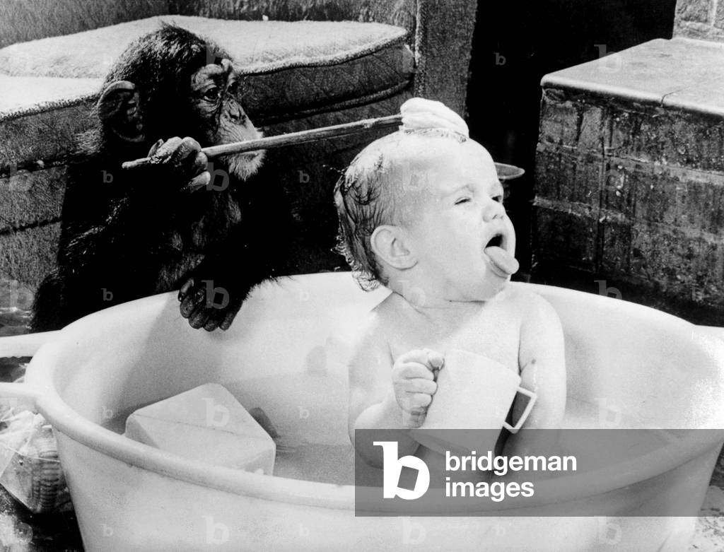 Little girl Jane taking a bath with the help of her chimpanzee, 11 March 1982 (photo)