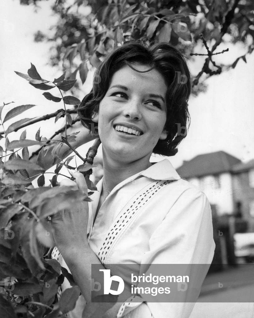 Diane Thatcher