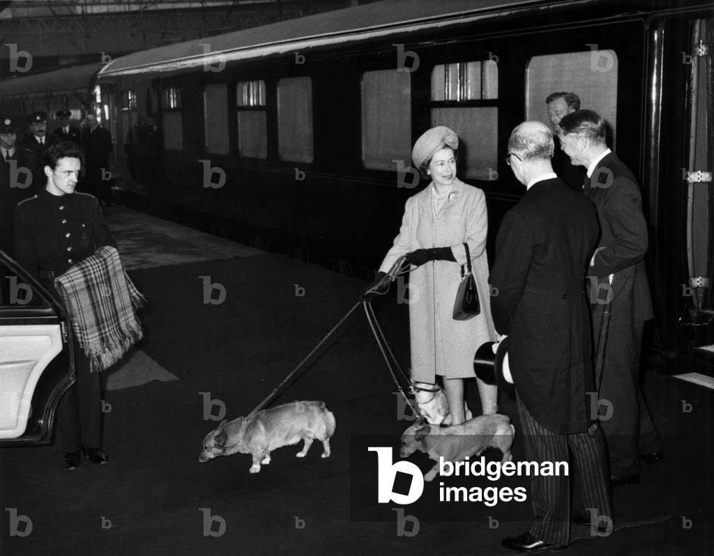 Elizabeth II and her Corgies