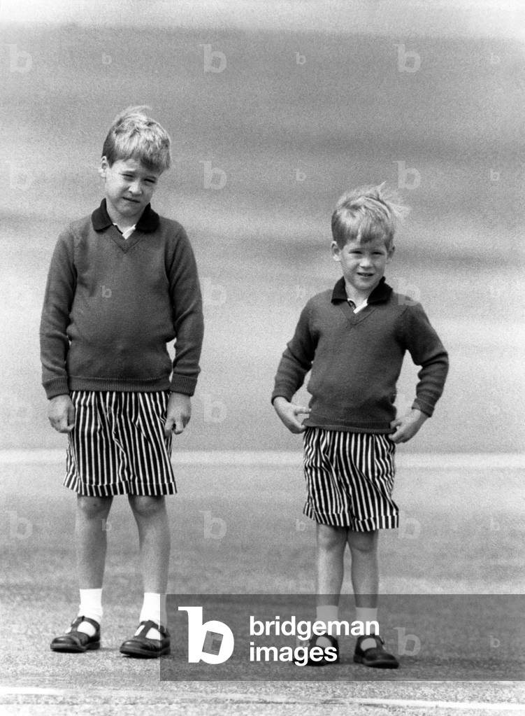 Le Prince William et le Prince Harry