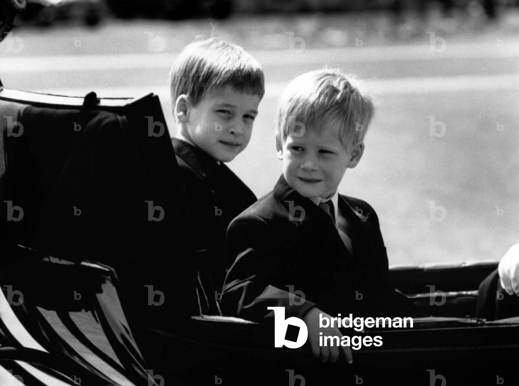 Le Prince William et le Prince Harry