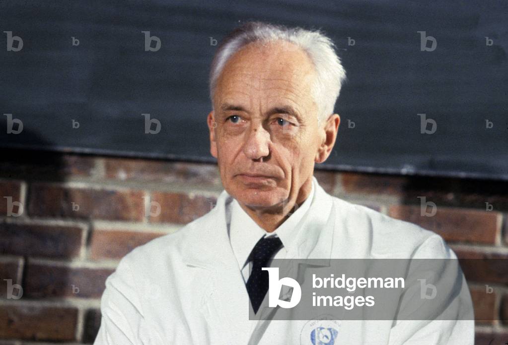 Jean Dausset, Medecine Nobel Prize, during Press Conference on October 10, 1980 (photo)