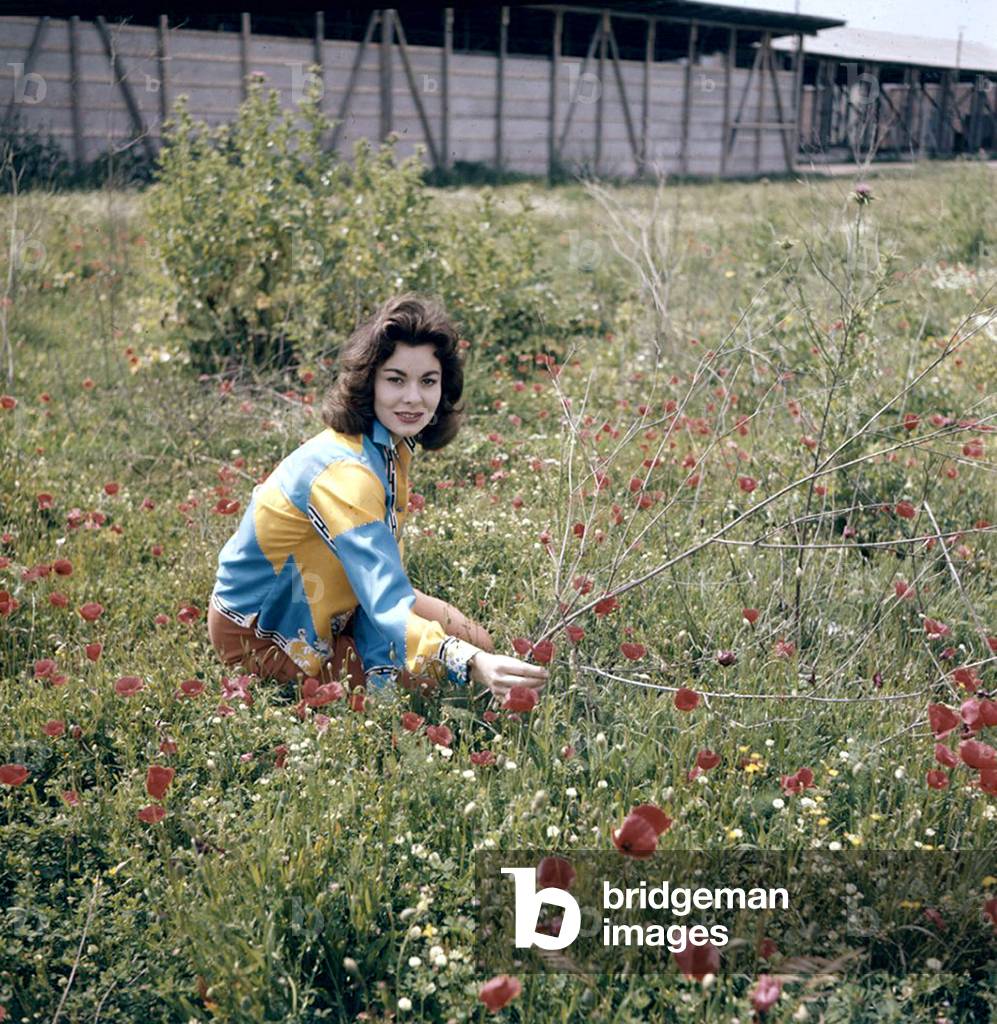 English Actress Anne Heywood C. 1970 (photo)