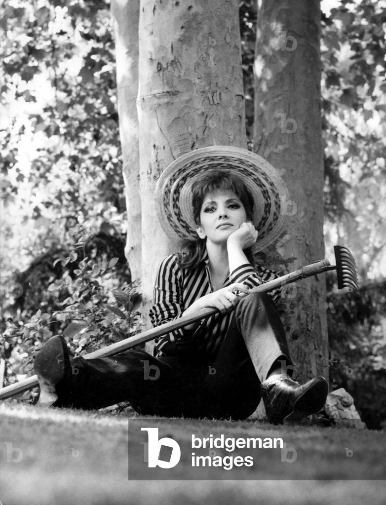 Gina Lollobrigida in 1967 (b/w photo)