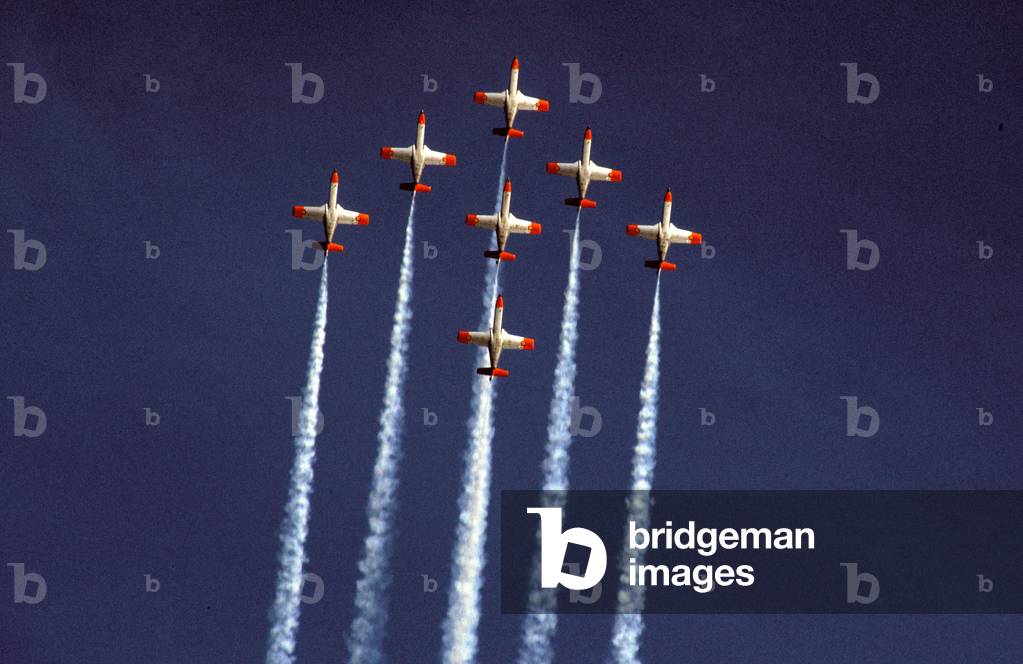 Planes of The French Patrol April 1988 (photo)