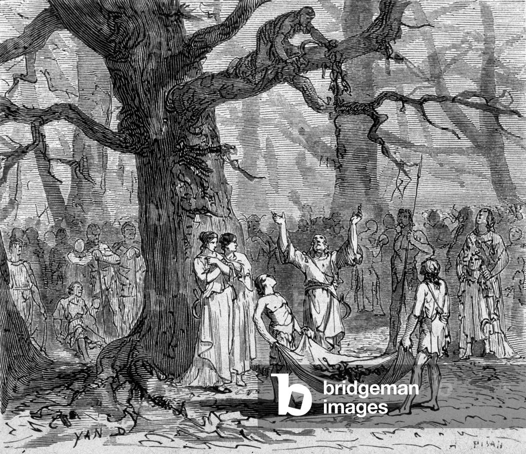 Druids Collecting Mistletoe in the Forest (engraving)
