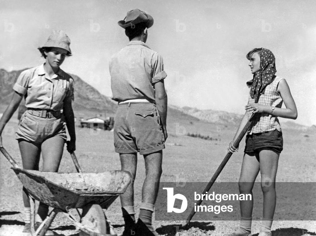 Jewish Youth Working on the Land, Israel, c.1950 (b/w photo)