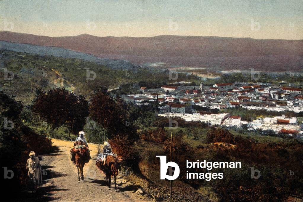 ALgeria : View of the city of Blida taken from the Ice Path (postcard)