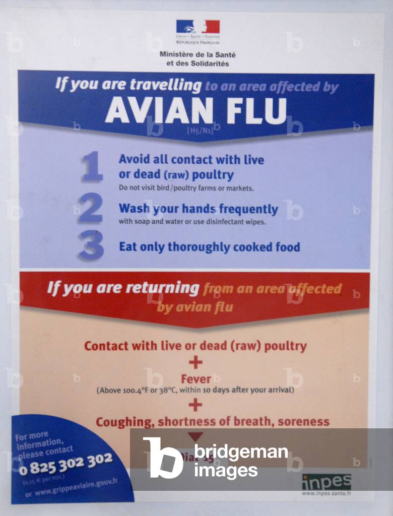 Instructions by minister of health for people who are going in a country affected by avian flu, poster at paris airport, February 2006