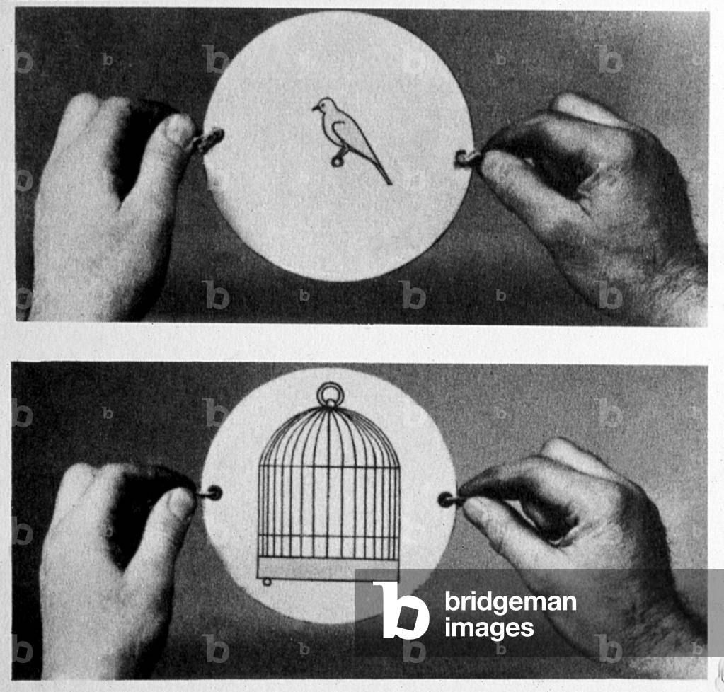 Thaumatrope: in 1825 John Ayrton Paris marketed his magic disc the thaumatrope (miracle wheel), on one side an empty cage is drawn, on the other a bird, the disc is held by a string. By turning it we have the illusion that the bird is in the cage while the eye never sees either the cage or the bird at the same time.