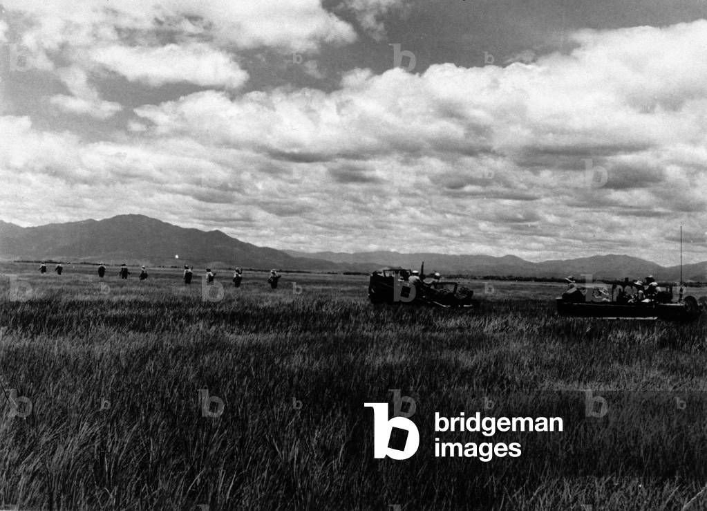 Indochina War (1946-1954) : French patrol between Hue and Quang-Tri, January 1952