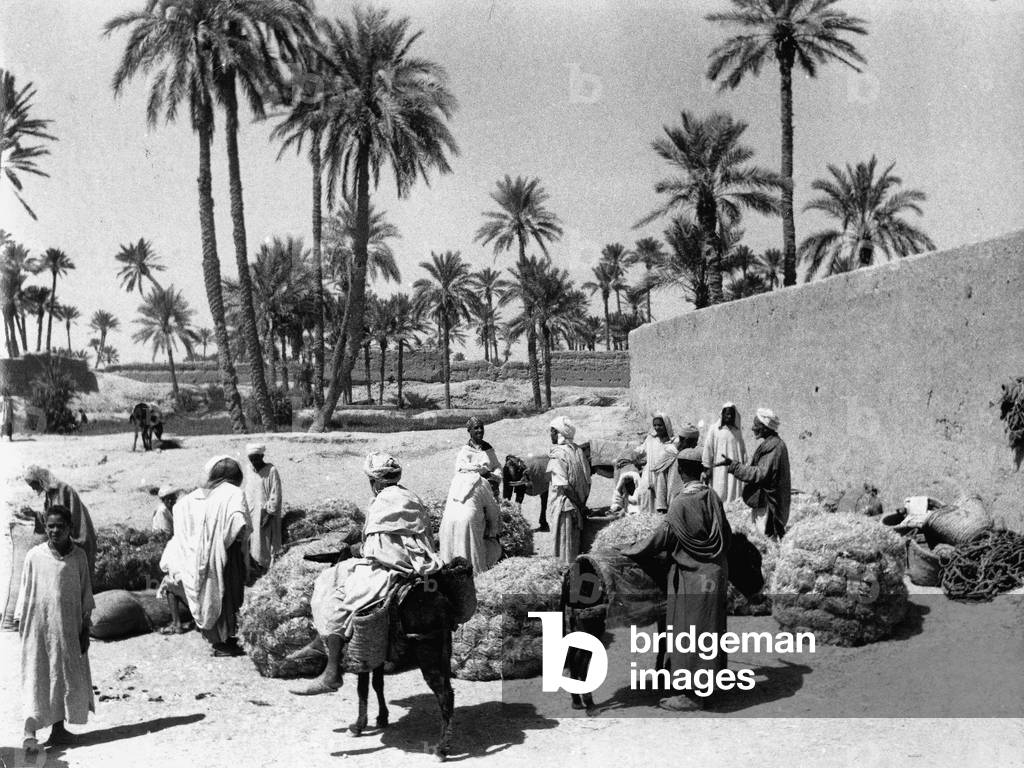 Souk of Erfous Tafilalet, Morocco : trade of the Doum palm tree