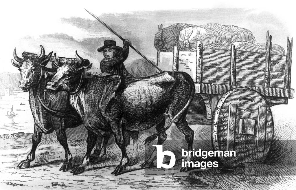 A horse-drawn carriage near Lisboa, Portugal, 18th century, engraving