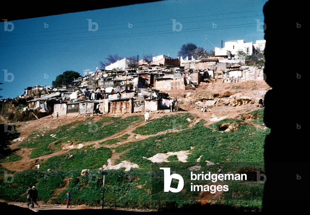 Shanty Town, Algiers, Algeria, c. 1959 (photo)