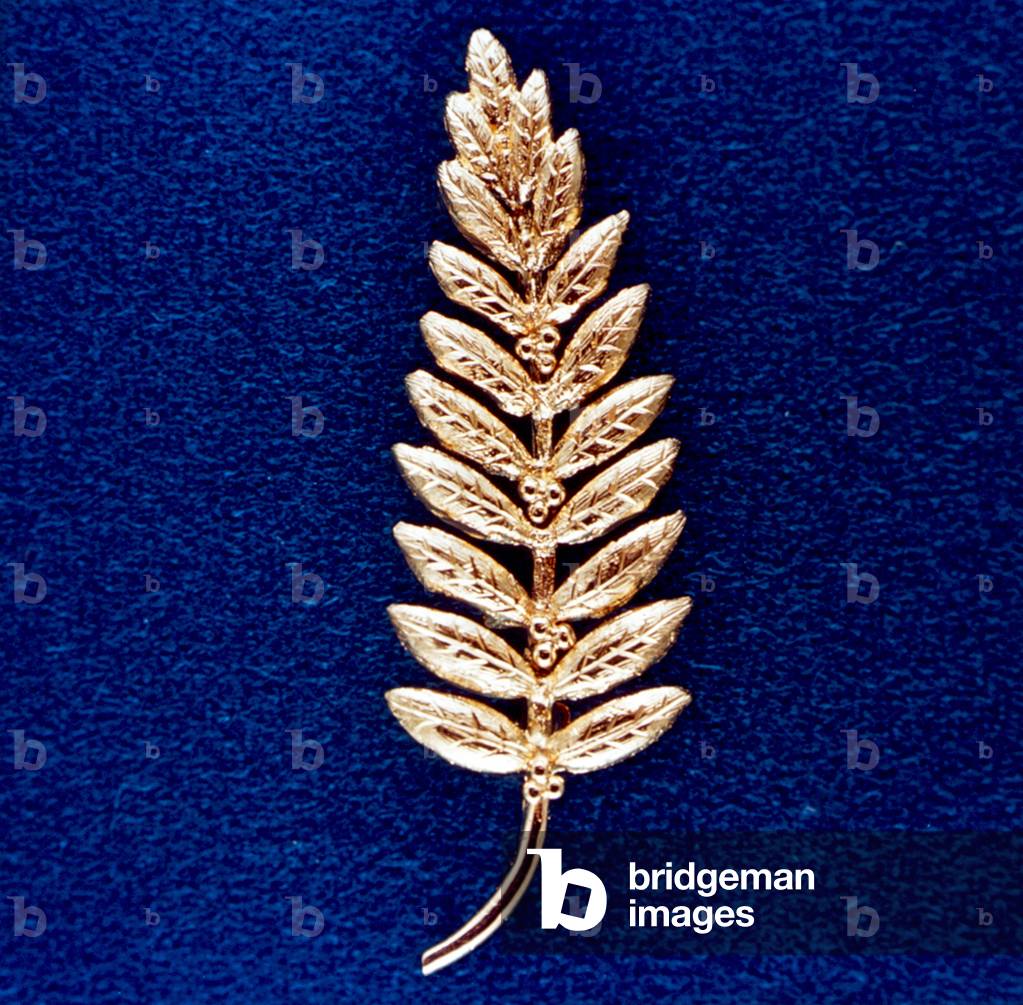 Gold Olive Branch (peace symbol) Left on the Moon by Neil Armstrong during Apollon 11 mission on July 21, 1969