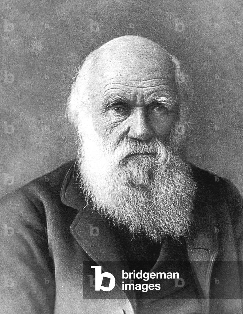 Charles Robert Darwin  English naturalist biologist (photo)