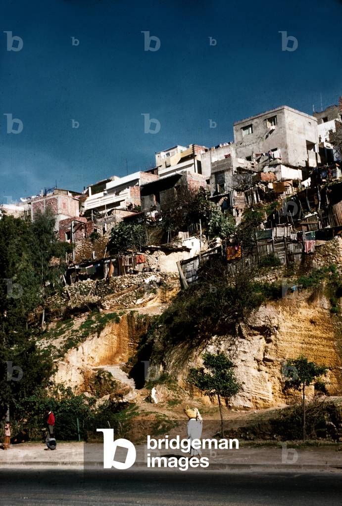 Algiers, Algeria, c. 1959 (photo)