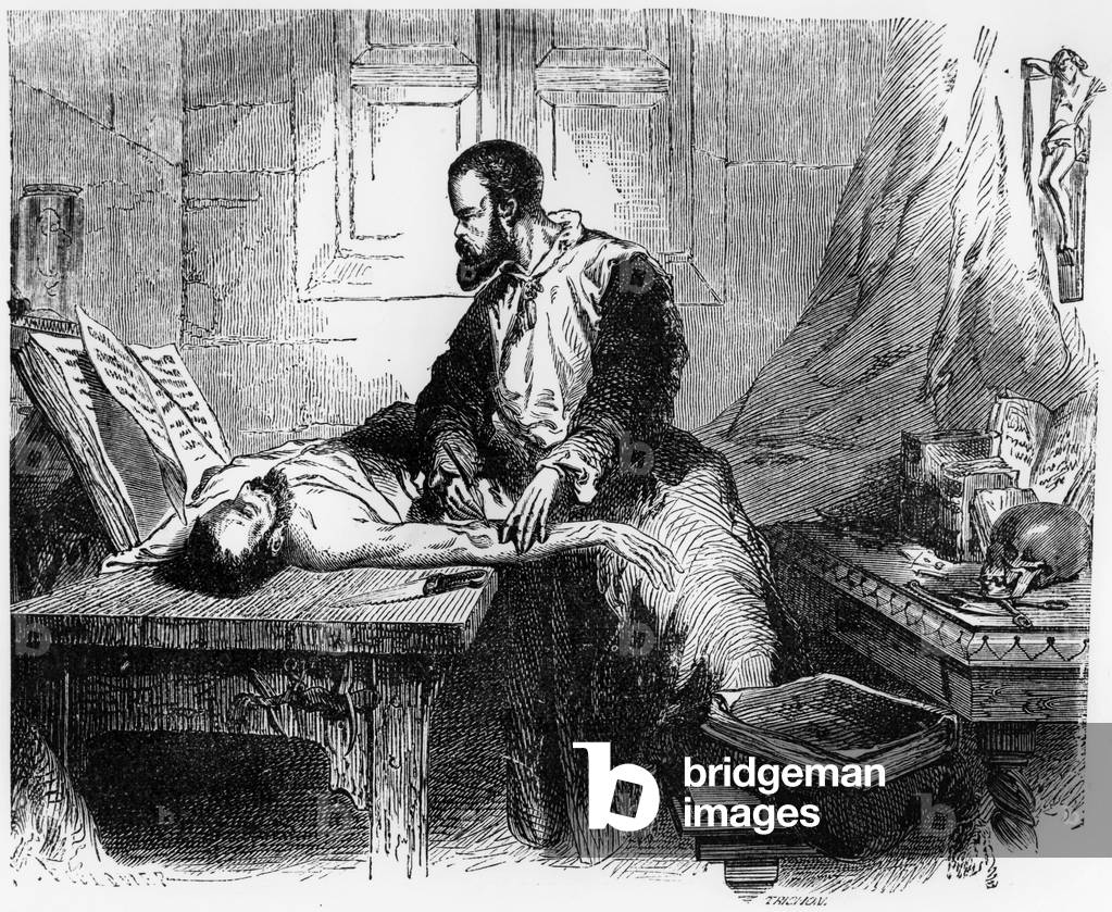 Andre Vesale (1514-1564) flemish doctor, engraving