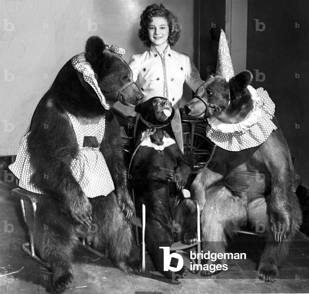 Herta Clauson, 14 years old bear tamer with these 3 wild bears, 1950