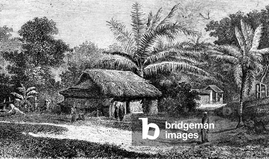 Village in valley of Colombo, Sri Lanka (engraving)