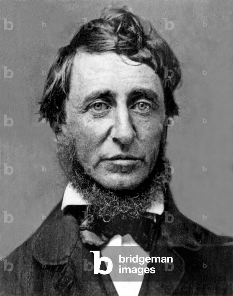 Henry David Thoreau, 1856 (b/w photo)