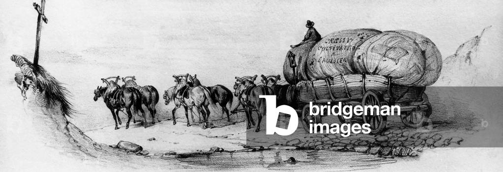 Big cart with 6 horses used for farm transport, France, engraving after Victor Adam (1801-1866)